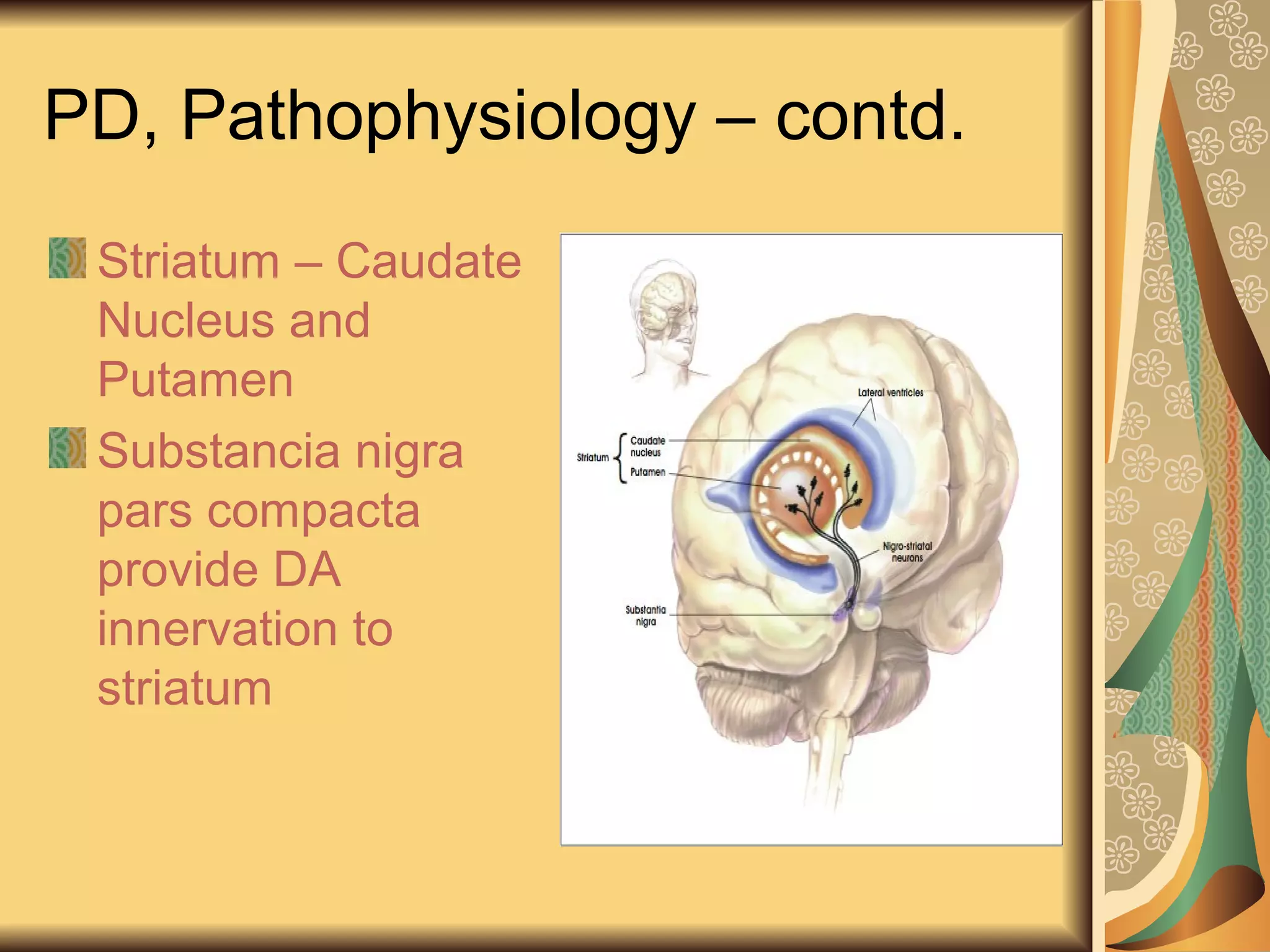 PD, Pathophysiology – contd.
Striatum – Caudate
Nucleus and
Putamen
Substancia nigra
pars compacta
provide DA
innervation to
striatum
 
