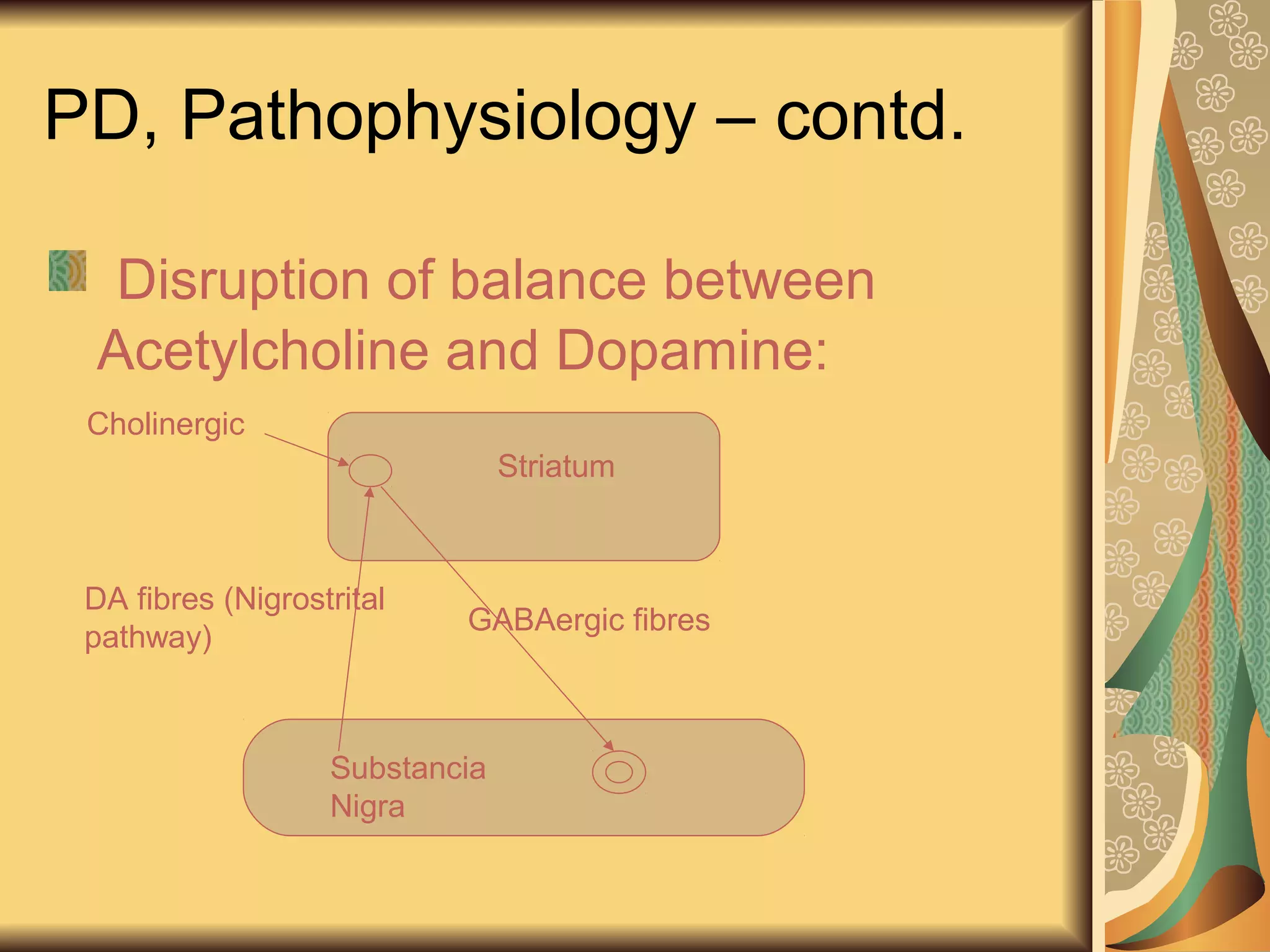 PD, Pathophysiology – contd.
Disruption of balance between
Acetylcholine and Dopamine:
Striatum
Substancia
Nigra
DA fibres (Nigrostrital
pathway)
GABAergic fibres
Cholinergic
 