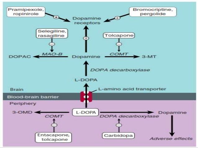 Bromocriptine Dose For Galactorrhea