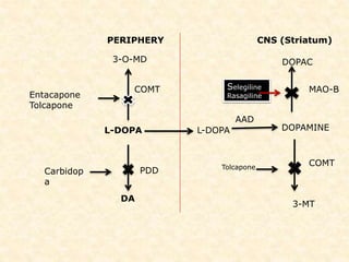 PERIPHERY CNS (Striatum)
3-O-MD
L-DOPA
DA
DOPAC
DOPAMINE
3-MT
L-DOPA
Entacapone
Tolcapone
Carbidop
a
Selegiline
Rasagiline
Tolcapone
AAD
COMT
PDD
MAO-B
COMT
 