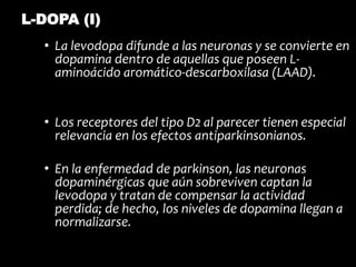 • La levodopa difunde a las neuronas y se convierte en
dopamina dentro de aquellas que poseen L-
aminoácido aromático-descarboxilasa (LAAD).
• Los receptores del tipo D2 al parecer tienen especial
relevancia en los efectos antiparkinsonianos.
• En la enfermedad de parkinson, las neuronas
dopaminérgicas que aún sobreviven captan la
levodopa y tratan de compensar la actividad
perdida; de hecho, los niveles de dopamina llegan a
normalizarse.
L-DOPA (I)
 