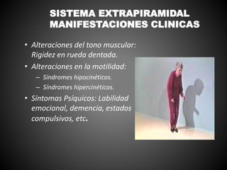 • Alteraciones del tono muscular:
Rigidez en rueda dentada.
• Alteraciones en la motilidad:
– Síndromes hipocinéticos.
– Síndromes hipercinéticos.
• Síntomas Psíquicos: Labilidad
emocional, demencia, estados
compulsivos, etc.
SISTEMA EXTRAPIRAMIDAL
MANIFESTACIONES CLINICAS
 