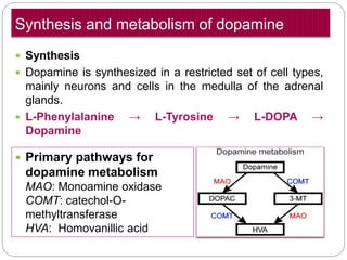 Synthesis and metabolism of dopamine
 Synthesis
 Dopamine is synthesized in a restricted set of cell types,
mainly neurons and cells in the medulla of the adrenal glands.
 L-Phenylalanine → L-Tyrosine → L-DOPA → Dopamine
 Primary pathways for
dopamine metabolism
MAO: Monoamine oxidase
COMT: catechol-O-
methyltransferase
HVA: Homovanillic acid
 