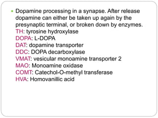  Dopamine processing in a synapse. After release
dopamine can either be taken up again by the
presynaptic terminal, or broken down by enzymes.
TH: tyrosine hydroxylase
DOPA: L-DOPA
DAT: dopamine transporter
DDC: DOPA decarboxylase
VMAT: vesicular monoamine transporter 2
MAO: Monoamine oxidase
COMT: Catechol-O-methyl transferase
HVA: Homovanillic acid
 