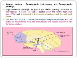  Nervous system: Dopaminergic cell groups and Dopaminergic pathways
 Major dopamine pathways. As part of the reward pathway, dopamine is
manufactured in nerve cell bodies located within the ventral tegmental
area (VTA) and is released in thenucleus accumbens and the prefrontal cortex.
 The motor functions of dopamine are linked to a separate pathway, with cell
bodies in thesubstantia nigra that manufacture and release dopamine into
the dorsal striatum.
 