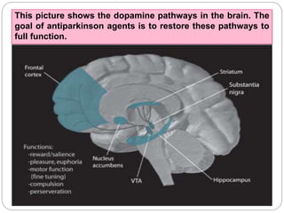 This picture shows the dopamine pathways in the brain. The
goal of antiparkinson agents is to restore these pathways to full
function.
 
