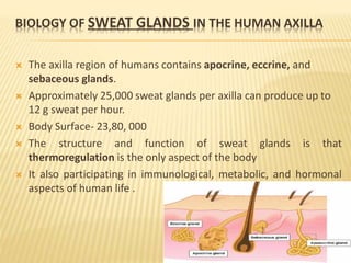 BIOLOGY OF SWEAT GLANDS IN THE HUMAN AXILLA
 The axilla region of humans contains apocrine, eccrine, and
sebaceous glands.
 Approximately 25,000 sweat glands per axilla can produce up to
12 g sweat per hour.
 Body Surface- 23,80, 000
 The structure and function of sweat glands is that
thermoregulation is the only aspect of the body
 It also participating in immunological, metabolic, and hormonal
aspects of human life .
 