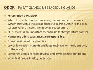 ODOR - SWEAT GLANDS & SEBACEOUS GLANDS
 Perspiration physiology:
 When the body temperature rises, the sympathetic nervous
system stimulates the sweat glands to secrete water to the skin
surface, where it cools the body by evaporation.
 Thus, sweat is an important mechanism for temperature control.
 Numerous odors substances are responsible:
 Decomposition of the proteins
 Lower fatty acids, steroids and lactones(have no smell, but they
fix the odor)
 Combined action of food physical and psychological conditions
 Individual property (dog detection)
 