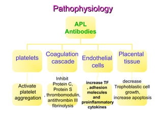 PPaatthhoopphhyyssiioollooggyy 
APL 
Antibodies 
platelets Coagulation 
cascade Endothelial 
cells 
increase TF 
, adhesion 
molecules 
and 
proinflammatory 
cytokines 
Placental 
tissue 
decrease 
Trophoblastic cell 
growth, 
increase apoptosis 
Inhibit 
Protein C, 
Protein S 
, thrombomodulin, 
antithrombin III 
fibrinolysis 
Activate 
platelet 
aggregation 
 