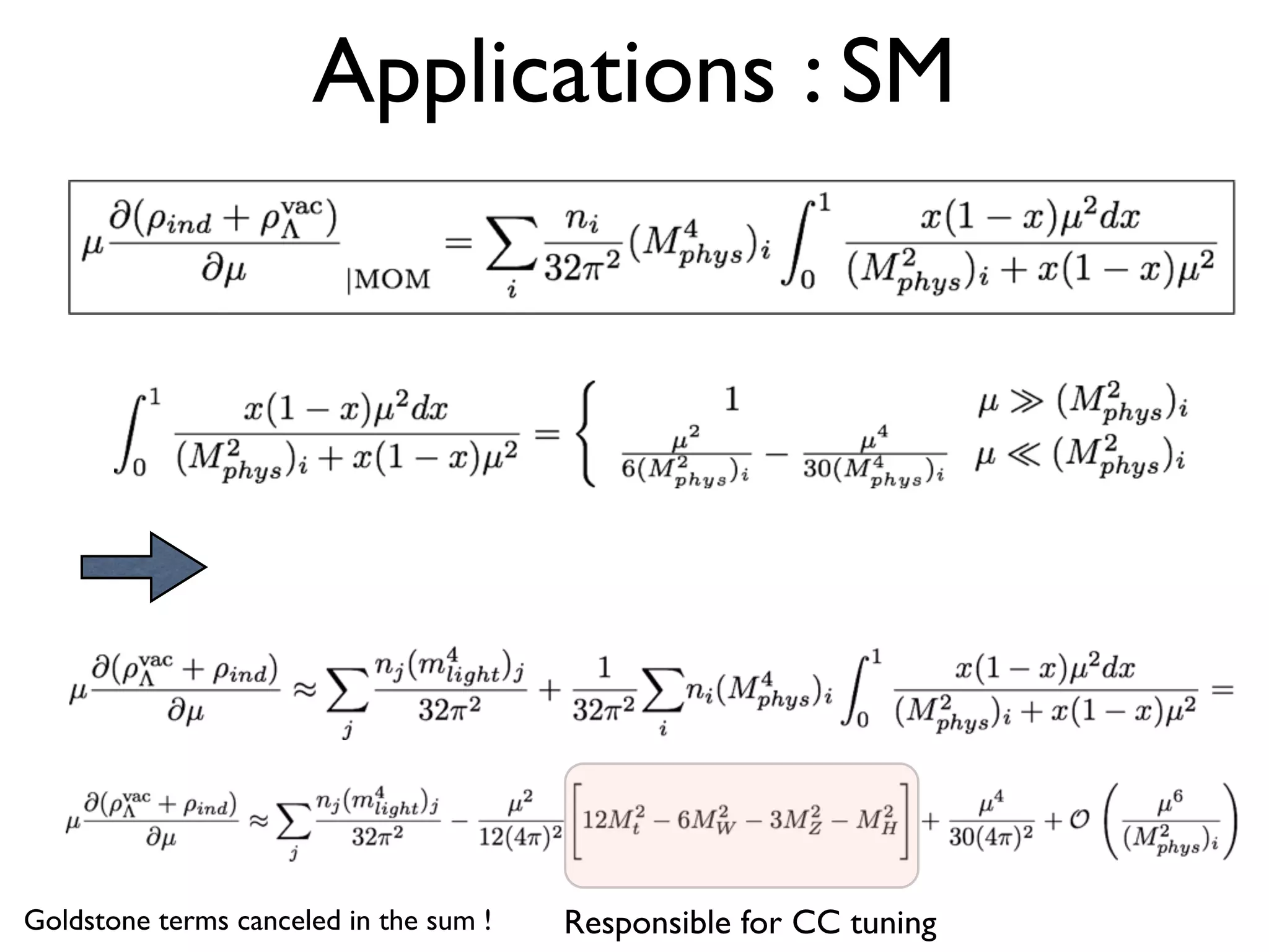 Applications : SM
Responsible for CC tuningGoldstone terms canceled in the sum !
 
