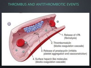 Antiplatelet and fibrinolytics | PPSX