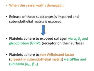 • When the vessel wall is damaged,,,
• Release of these substances is impaired and
subendothelial matrix is exposed.
• Platelets adhere to exposed collagen via α2 β1 and
glycoprotein (GP)V1 (receptor on their surface)
• Platelets adhere to von Willebrand factor
(present in subendothelial matrix) via GPIbα and
GPIIb/IIIa (αIIb β 3)
 