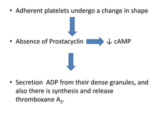 • Adherent platelets undergo a change in shape
• Absence of Prostacyclin ↓ cAMP
• Secretion ADP from their dense granules, and
also there is synthesis and release
thromboxane A2.
 