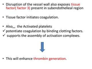 • Disruption of the vessel wall also exposes tissue
factor( factor 3) present in subendothelieal region
• Tissue factor initiates coagulation.
• Also,,, the Activated platelets
potentiate coagulation by binding clotting factors.
 supports the assembly of activation complexes.
• This will enhance thrombin generation.
 