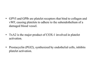• GPVI and GPIb are platelet receptors that bind to collagen and
vWF, causing platelets to adhere to the subendothelium of a
damaged blood vessel.
• TxA2 is the major product of COX-1 involved in platelet
activation.
• Prostacyclin (PGI2), synthesized by endothelial cells, inhibits
platelet activation.
 