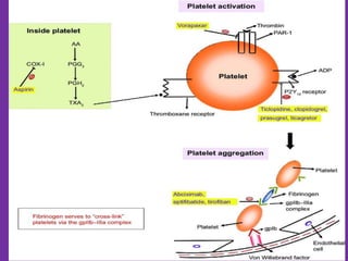Pharmacology of Antiplatelet drugs | PPTX