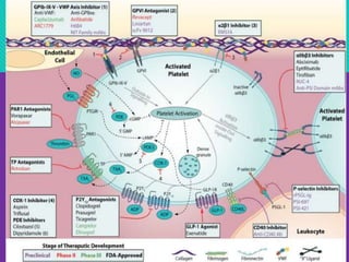 Pharmacology of Antiplatelet drugs | PPTX
