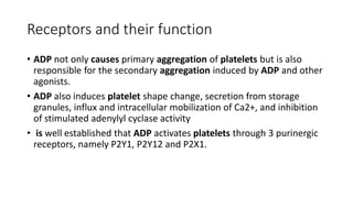 Receptors and their function
• ADP not only causes primary aggregation of platelets but is also
responsible for the secondary aggregation induced by ADP and other
agonists.
• ADP also induces platelet shape change, secretion from storage
granules, influx and intracellular mobilization of Ca2+, and inhibition
of stimulated adenylyl cyclase activity
• is well established that ADP activates platelets through 3 purinergic
receptors, namely P2Y1, P2Y12 and P2X1.
 