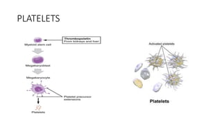PLATELETS
 