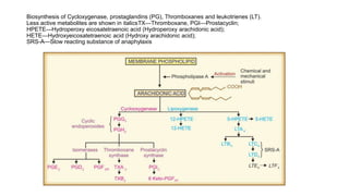 Biosynthesis of Cycloxygenase, prostaglandins (PG), Thromboxanes and leukotrienes (LT).
Less active metabolites are shown in italicsTX—Thromboxane, PGI—Prostacyclin;
HPETE—Hydroperoxy eicosatetraenoic acid (Hydroperoxy arachidonic acid);
HETE—Hydroxyeicosatetraenoic acid (Hydroxy arachidonic acid);
SRS-A—Slow reacting substance of anaphylaxis
 