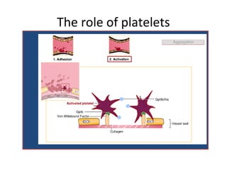 The role of platelets
 