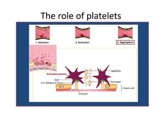 The role of platelets
 