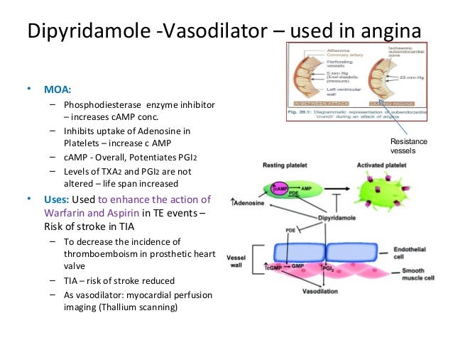 dipyridamole moa