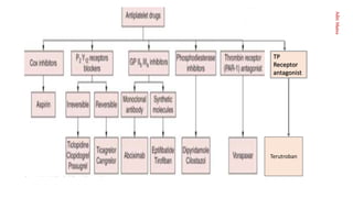 Aditi
Maitra
TP
Receptor
antagonist
Terutroban
 