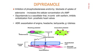 Aditi
Maitra
DIPYRIDAMOLE
 Inhibition of phosphodiesterases and/orby blockade of uptake of
adenosine - Increases the cellular concentration of c AMP
• Dipyridamole is a vasodilator that, incomb with warfarin, inhibits
embolization from prosthetic heart valves
• ADR: exacerbation of angina, headache, tachycardia, g i distress
 
