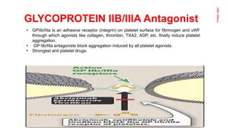 Aditi
Maitra
GLYCOPROTEIN IIB/IIIA Antagonist
• GPIIb/IIIa is an adhesive receptor (integrin) on platelet surface for fibrinogen and vWF
through which agonists like collagen, thrombin, TXA2, ADP, etc. finally induce platelet
aggregation.
• GP IIb/IIIa antagonists block aggregation induced by all platelet agonists.
• Strongest anti platelet drugs.
 