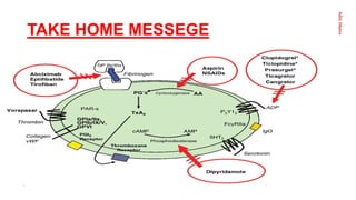 Aditi
Maitra
TAKE HOME MESSEGE
 