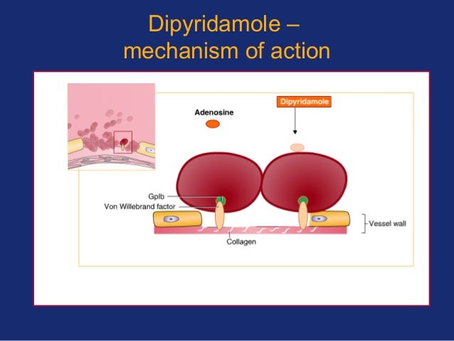 dipyridamole moa