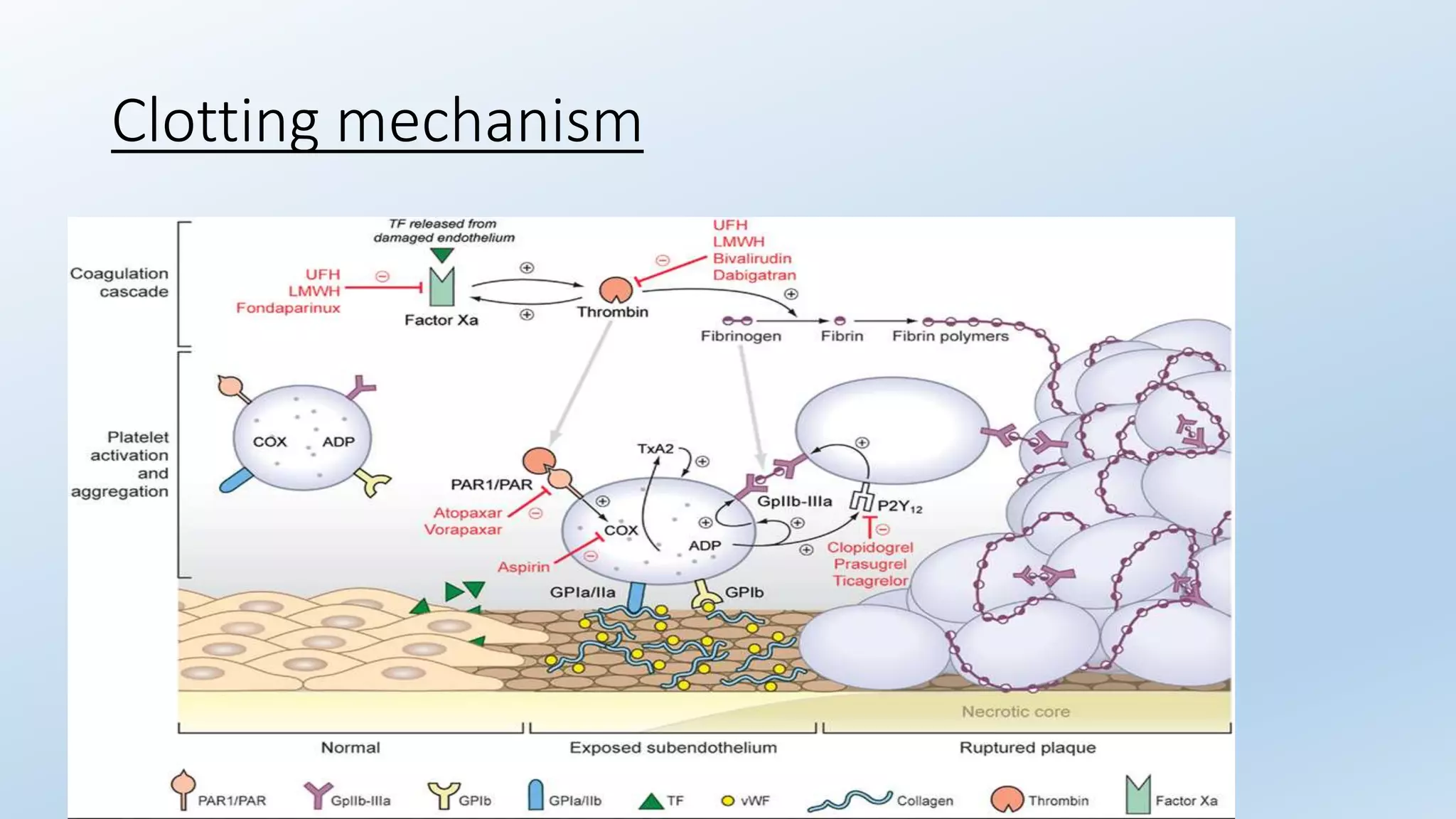 Antiplatelets and anticoagulants | PPTX