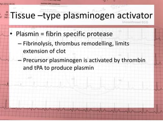 Tissue –type plasminogen activator 
• Plasmin = fibrin specific protease 
– Fibrinolysis, thrombus remodelling, limits 
extension of clot 
– Precursor plasminogen is activated by thrombin 
and tPA to produce plasmin 
 