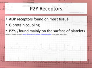 P2Y Receptors 
• ADP receptors found on most tissue 
• G protein coupling 
• P2Y12 found mainly on the surface of platelets 
Dorsam RT, Kunapuli SP (2004). "Central role of the P2Y12 receptor in platelet activation". J. Clin. Invest. 113 (3): 340–5 
 