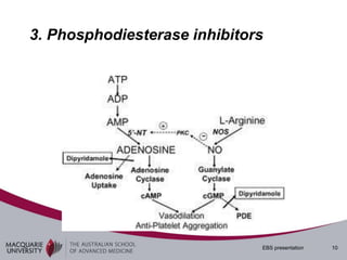 3. Phosphodiesterase inhibitors




                              EBS presentation   10
 