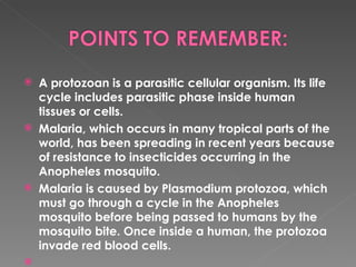Protozoan Insecticide Antiprotozoal Agents Sia Salamat Et Al | PPT