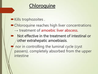 Chloroquine
Kills trophozoites .
Chloroquine reaches high liver concentrations
→ treatment of amoebic liver abscess.
 Not effective in the treatment of intestinal or
other extrahepatic amoebiasis.
 nor in controlling the luminal cycle (cyst
passers). completely absorbed from the upper
intestine
 