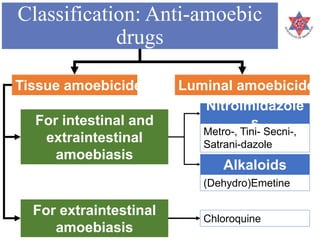 Classification: Anti-amoebic
drugs
Tissue amoebicides Luminal amoebicides
For intestinal and
extraintestinal
amoebiasis
For extraintestinal
amoebiasis
Nitroimidazole
s
Metro-, Tini- Secni-,
Satrani-dazole
Alkaloids
(Dehydro)Emetine
Chloroquine
 