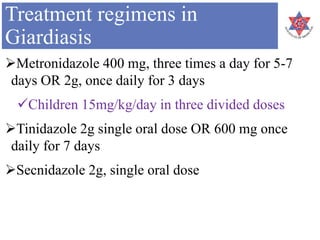 Treatment regimens in
Giardiasis
Metronidazole 400 mg, three times a day for 5-7
days OR 2g, once daily for 3 days
Children 15mg/kg/day in three divided doses
Tinidazole 2g single oral dose OR 600 mg once
daily for 7 days
Secnidazole 2g, single oral dose
 