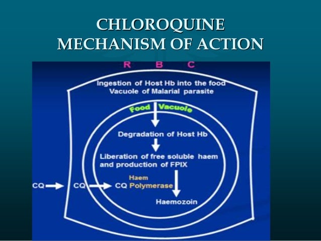 Chloroquine Dosage Forms