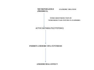 ANAEROBIC ORGANISM
METRONIDAZOLE
(PRODRUG)
NITRO GROUP REDUCTION BY
NITRO REDUCTASE ENZYME IN ANAEROBES
INHIBITS AMOEBIC DNA SYNTHESIS
AMOEBICIDAL EFFECT
ACTIVE METABOLITE(CYTOTOXIC)
 