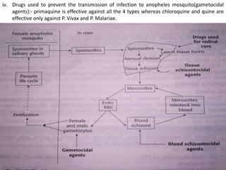Protozoan Insecticide Protozoal infections and antiprotozoal drugs(therapy). | PPTX