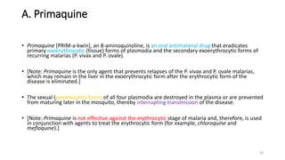 A. Primaquine
• Primaquine [PRIM-a-kwin], an 8-aminoquinoline, is an oral antimalarial drug that eradicates
primary exoerythrocytic (tissue) forms of plasmodia and the secondary exoerythrocytic forms of
recurring malarias (P. vivax and P. ovale).
• [Note: Primaquine is the only agent that prevents relapses of the P. vivax and P. ovale malarias,
which may remain in the liver in the exoerythrocytic form after the erythrocytic form of the
disease is eliminated.]
• The sexual (gametocytic) forms of all four plasmodia are destroyed in the plasma or are prevented
from maturing later in the mosquito, thereby interrupting transmission of the disease.
• [Note: Primaquine is not effective against the erythrocytic stage of malaria and, therefore, is used
in conjunction with agents to treat the erythrocytic form (for example, chloroquine and
mefloquine).]
24
 