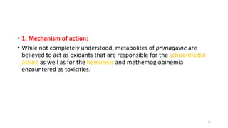 • 1. Mechanism of action:
• While not completely understood, metabolites of primaquine are
believed to act as oxidants that are responsible for the schizonticidal
action as well as for the hemolysis and methemoglobinemia
encountered as toxicities.
25
 