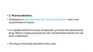 • 2. Pharmacokinetics:
• Primaquine is well absorbed after oral administration and is not
concentrated in tissues.
• It is rapidly oxidized to many compounds, primarily the deaminated
drug. Which compound possesses the schizonticidal activity has not
been established.
• The drug is minimally excreted in the urine.
26
 