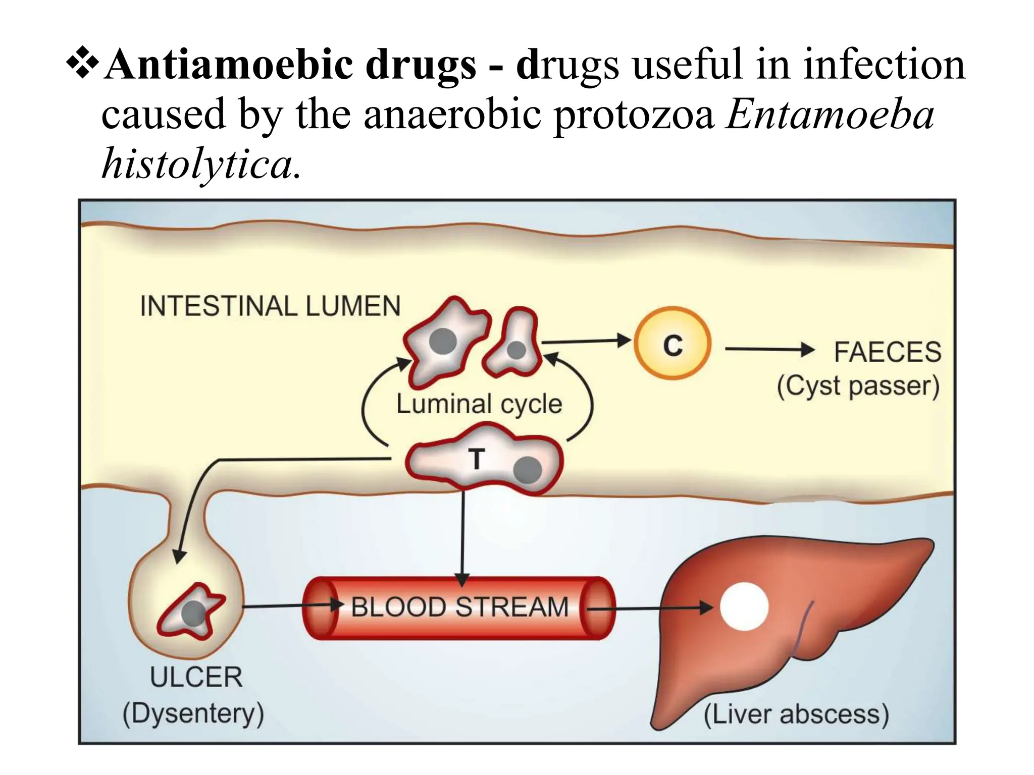 Antiamoebic drugs - drugs useful in infection
caused by the anaerobic protozoa Entamoeba
histolytica.
 