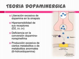 Teoria Dopaminergica
 Liberación excesiva de
dopamina en la sinapsis
 Hipersensibilidad de
sus receptores
(D2, D3, D4)
 Deficiencia en la
conversión dopamina-
norepinefrina
 Producción excesiva de
ciertos metabolitos o de
metabolitos anormales
(6-hidroxidopamina)
 