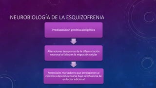 NEUROBIOLOGÍA DE LA ESQUIZOFRENIA
Predisposición genética poligénica
Alteraciones tempranas de la diferenciación
neuronal o fallos en la migración celular
Potenciales marcadores que predisponen al
cerebro a descompensarse bajo la influencia de
un factor adicional
 