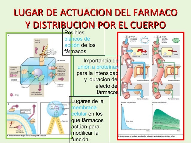Imagen relacionada